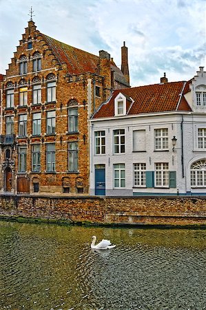 simsearch:400-05159849,k - Swans on canals of Bruges, Belgium. Winter view. Stock Photo - Budget Royalty-Free & Subscription, Code: 400-08070456