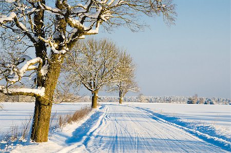 snow road horizon - Winter road in the countryside, a beautiful winter day Stock Photo - Budget Royalty-Free & Subscription, Code: 400-08071006