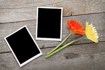 simsearch:400-08298802,k - Two colorful gerbera flowers and photo frames on wooden table Photographie de stock - Aubaine LD & Abonnement, Code: 400-08071429