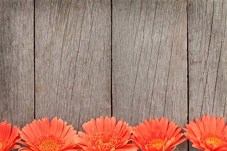 simsearch:400-07662543,k - Wooden background with orange gerbera flowers and copy space Stock Photo - Budget Royalty-Free & Subscription, Code: 400-08071445