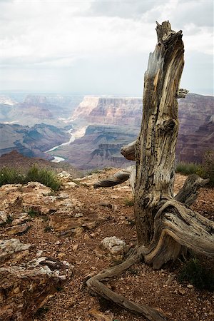 simsearch:400-04378638,k - View of the Grand Canyon of Colorado Photographie de stock - Aubaine LD & Abonnement, Code: 400-08071599