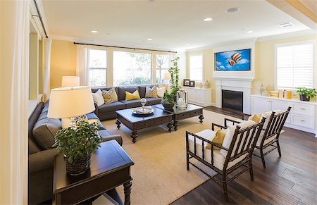 diy chair - Beautiful New Custom Living Room Interior. Stock Photo - Budget Royalty-Free & Subscription, Code: 400-08072174