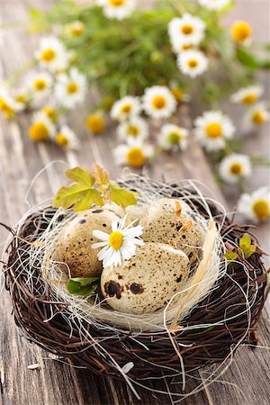 Spotted  eggs in nest  on wooden  background. Foto de stock - Super Valor sin royalties y Suscripción, Código: 400-08072227