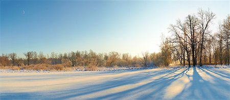 simsearch:400-05359143,k - scenic landscape of bare trees and its shadows near  snow field in sunny winter day with clear sky Photographie de stock - Aubaine LD & Abonnement, Code: 400-08072275