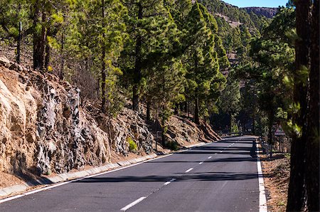 parque nacional del teide - Road to Teide volcano. Tenerife, Canary Islands. Spain Stock Photo - Budget Royalty-Free & Subscription, Code: 400-08072313