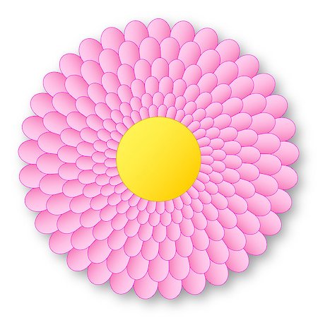 Lovely pink flowerer with yellow center and with shadow on white background Foto de stock - Super Valor sin royalties y Suscripción, Código: 400-08072598