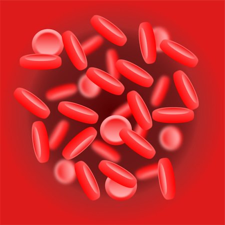 Red blood cells (Erythrocytes) in the aorta Photographie de stock - Aubaine LD & Abonnement, Code: 400-08072593