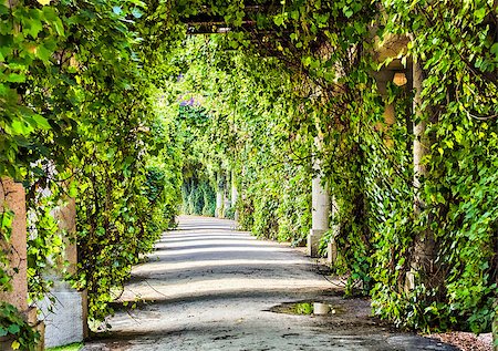 dharmanoid (artist) - Green archway in the park at summer Foto de stock - Royalty-Free Super Valor e Assinatura, Número: 400-08072713
