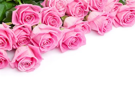 simsearch:400-08110734,k - Valentines day background with pink roses. Isolated on white with copy space Stock Photo - Budget Royalty-Free & Subscription, Code: 400-08072811