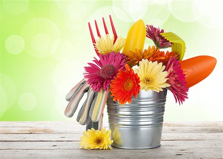 simsearch:400-08252596,k - Colorful flowers and garden tools on wooden table with sunny bokeh Photographie de stock - Aubaine LD & Abonnement, Code: 400-08072943