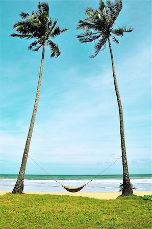 philippines in hammock - Hammock between two palm trees on the white beach Foto de stock - Super Valor sin royalties y Suscripción, Código: 400-08073036