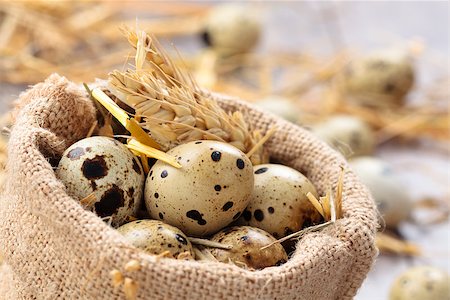Fresh quail eggs and  wheats  on wooden table. Foto de stock - Super Valor sin royalties y Suscripción, Código: 400-08073114