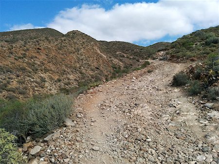 simsearch:400-07090078,k - Rocky landscape of Tenerife. Canary Islands. Spain Stock Photo - Budget Royalty-Free & Subscription, Code: 400-08073286