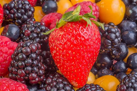 Fresh berries all mixed together Photographie de stock - Aubaine LD & Abonnement, Code: 400-08073345