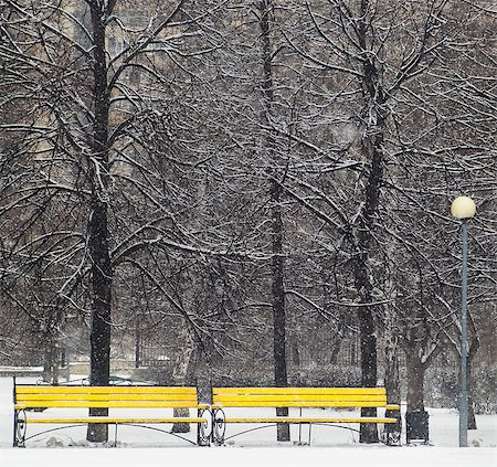 simsearch:400-03979334,k - Yellow benches in winter park when it is snowing and cold Stock Photo - Budget Royalty-Free & Subscription, Code: 400-08073571