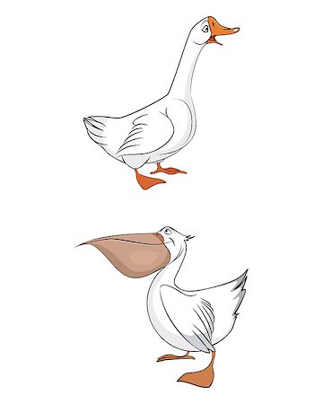 simsearch:400-05677181,k - Vector illustration of a birds: goose and pelican Photographie de stock - Aubaine LD & Abonnement, Code: 400-08094811