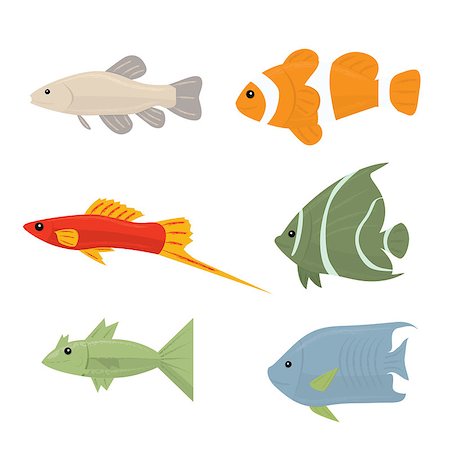 simsearch:400-08097613,k - Collection of tropical fish - set of vector icons Isolated on white background Stock Photo - Budget Royalty-Free & Subscription, Code: 400-08096138