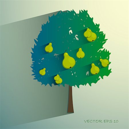 egor_zaharov (artist) - vector pear tree isolated on light background. Eps 10 Fotografie stock - Microstock e Abbonamento, Codice: 400-08096161