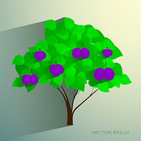 egor_zaharov (artist) - Decorative plum tree with ripe fruits. Vector Eps 10 Fotografie stock - Microstock e Abbonamento, Codice: 400-08096162