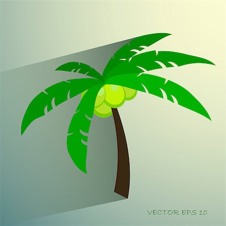egor_zaharov (artist) - Palm tree isolated on white photo-realistic vector illustration eps 10 Fotografie stock - Microstock e Abbonamento, Codice: 400-08096163