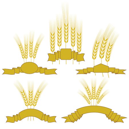 son (céréale) - Set of Wheats with Ribbons Isolated on White Background. Photographie de stock - Aubaine LD & Abonnement, Code: 400-08096787