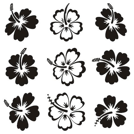 Black vector hibiscus silhouette icons on white background Stock Photo - Budget Royalty-Free & Subscription, Code: 400-08096946