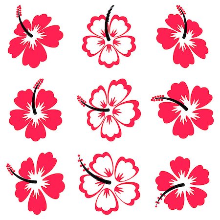Beautiful black and red vector hibiscus flowers isolated Stock Photo - Budget Royalty-Free & Subscription, Code: 400-08096940