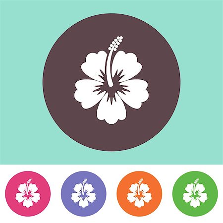 Vector hibiscus flower icon on round colorful buttons Stock Photo - Budget Royalty-Free & Subscription, Code: 400-08097147
