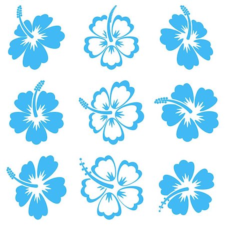 Blue vector hibiscus silhouette icons on white background Stock Photo - Budget Royalty-Free & Subscription, Code: 400-08097141
