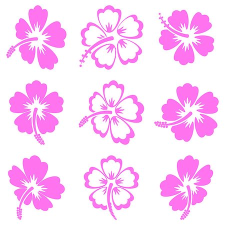 Pink vector hibiscus silhouette icons on white background Stock Photo - Budget Royalty-Free & Subscription, Code: 400-08097468