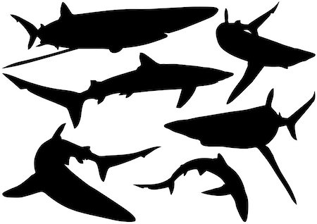 simsearch:400-08097613,k - Blue Shark Silhouettes (Prionace glauca) - Illustration, Vector Stock Photo - Budget Royalty-Free & Subscription, Code: 400-08097504