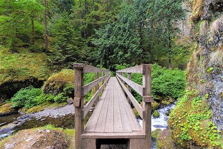 simsearch:400-09221855,k - Wooden Foot Bridge Over Creek in Wahclella Falls Trail in Columbia River Gorge Oregon Stock Photo - Budget Royalty-Free & Subscription, Code: 400-08097947