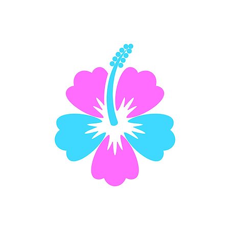 Colorful vector hibiscus flower icon on white background Stock Photo - Budget Royalty-Free & Subscription, Code: 400-08098209