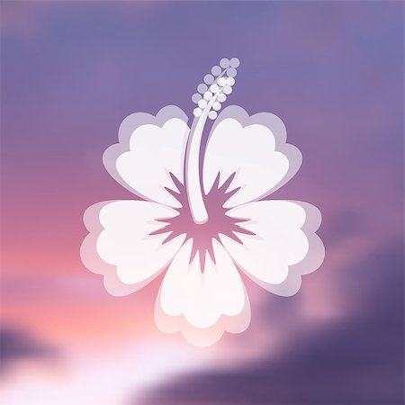 White vector hibiscus flower icon on blurred background Stock Photo - Budget Royalty-Free & Subscription, Code: 400-08098231
