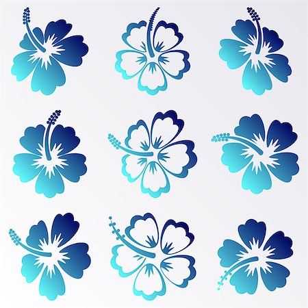 Blue gradient vector hibiscus silhouette icons isolated Stock Photo - Budget Royalty-Free & Subscription, Code: 400-08098509