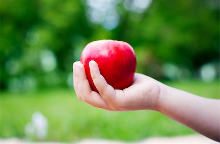 Hand holding a red apple on nature background Foto de stock - Super Valor sin royalties y Suscripción, Código: 400-08098569