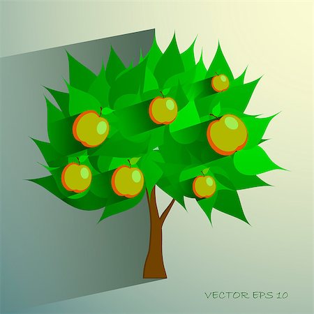 egor_zaharov (artist) - apple tree isolated on White background. Vector illustration eps 10 Fotografie stock - Microstock e Abbonamento, Codice: 400-08098632