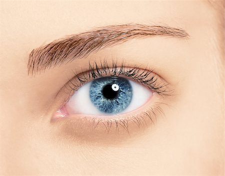 simsearch:400-08096297,k - Close up blue eye with makeup , macro shot with perfect skin Stock Photo - Budget Royalty-Free & Subscription, Code: 400-08093452