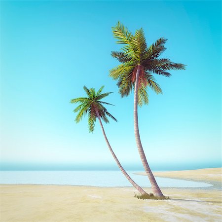 simsearch:400-07093200,k - An image of a beautiful palm tree beach Fotografie stock - Microstock e Abbonamento, Codice: 400-08093741