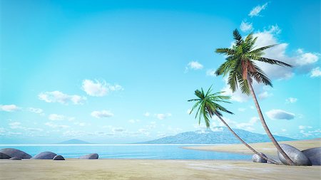 simsearch:400-07093200,k - An image of a beautiful palm tree beach Fotografie stock - Microstock e Abbonamento, Codice: 400-08093742