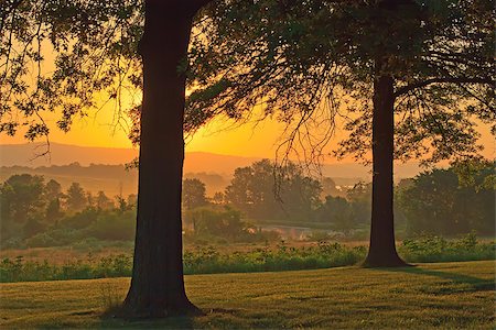 simsearch:400-07975760,k - A beautiful foggy springtime sunrise in Lancaster County, Pennsylvania. Fotografie stock - Microstock e Abbonamento, Codice: 400-08093829