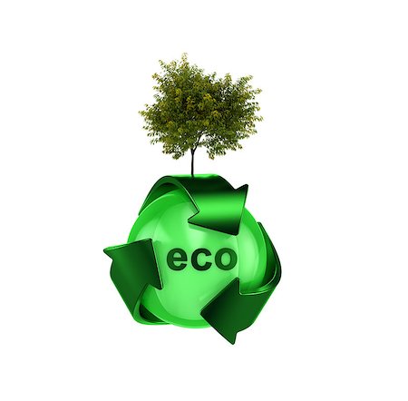 simsearch:400-04001346,k - Hight resolution render of recycle logo on white background with tree Foto de stock - Royalty-Free Super Valor e Assinatura, Número: 400-08107646
