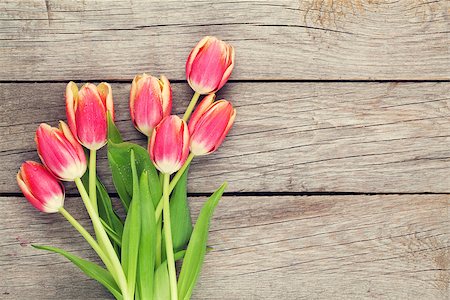 simsearch:400-08036453,k - Colorful tulips on wooden table. Top view with copy space Stock Photo - Budget Royalty-Free & Subscription, Code: 400-08108537