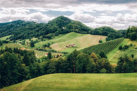 simsearch:400-08888252,k - Landscape in Southern Styria with some Vineyards Stockbilder - Microstock & Abonnement, Bildnummer: 400-08108676