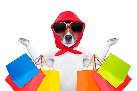 simsearch:400-08151278,k - jack russell dog  with shopping bags ready for discount and sale at the  mall, isolated on white background Photographie de stock - Aubaine LD & Abonnement, Code: 400-08109883