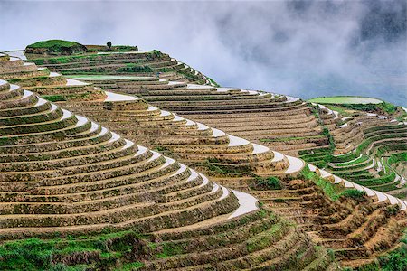 simsearch:862-03351790,k - Yaoshan Mountain, Guilin, China hillside rice terraces landscape. Stock Photo - Budget Royalty-Free & Subscription, Code: 400-08114008