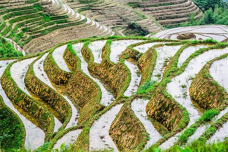 simsearch:862-03351790,k - Yaoshan Mountain, Guilin, China hillside rice terraces landscape. Stock Photo - Budget Royalty-Free & Subscription, Code: 400-08114009
