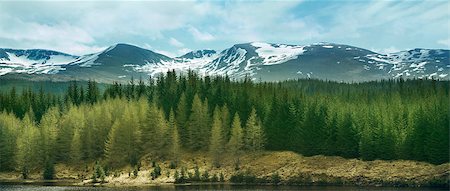 simsearch:400-06915108,k - Highland Mountains and Forests, UK Photographie de stock - Aubaine LD & Abonnement, Code: 400-08114108