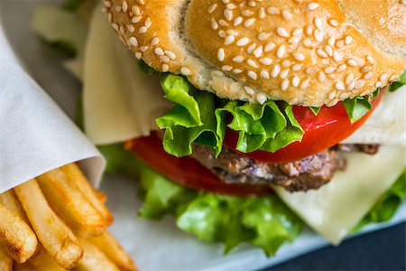 Closeup of Homemade Hamburger with Fresh Vegetables and French Fries Stock Photo - Budget Royalty-Free & Subscription, Code: 400-08114827