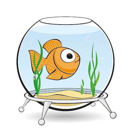 simsearch:400-07524567,k - Lonely Goldfish swim in an aquarium between algae Stock Photo - Budget Royalty-Free & Subscription, Code: 400-08114958